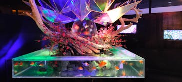 NARA KINGYO MUSEUMに投稿された画像（2023/2/25）