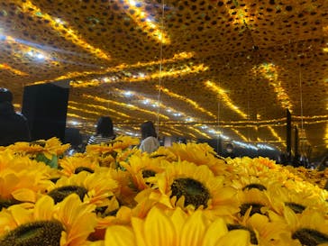 ゴッホ・アライブに投稿された画像（2023/2/25）