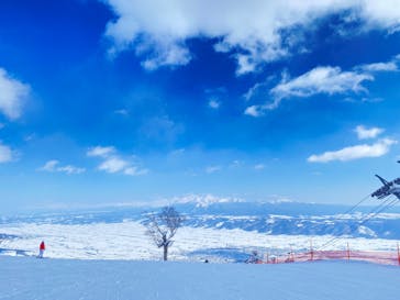 富良野スキー場に投稿された画像（2023/2/26）