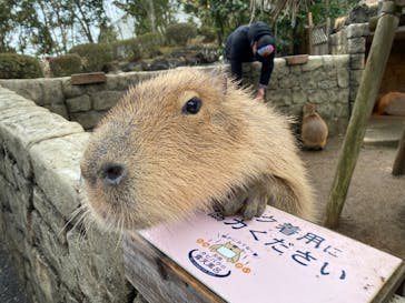 伊豆シャボテン動物公園に投稿された画像（2023/2/26）