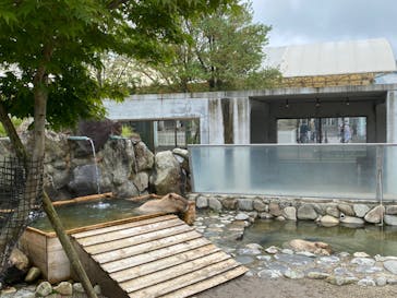 那須どうぶつ王国に投稿された画像（2023/2/26）