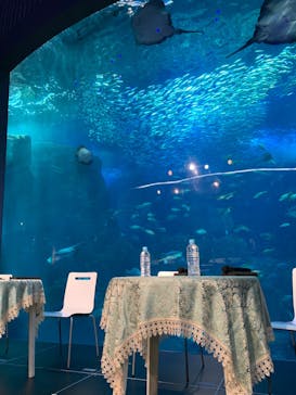 新江ノ島水族館に投稿された画像（2023/2/26）