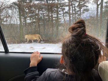 東北サファリパークに投稿された画像（2023/2/26）