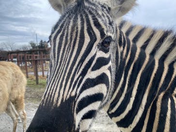 東北サファリパークに投稿された画像（2023/2/26）