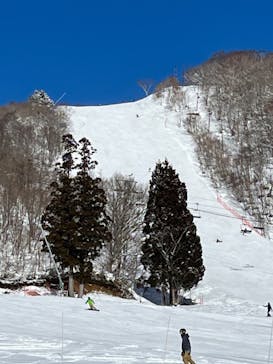 高鷲スノーパークに投稿された画像（2023/2/26）