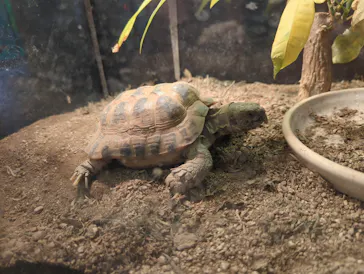 天王寺動物園に投稿された画像（2023/2/26）