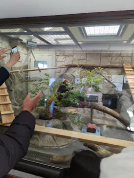 天王寺動物園に投稿された画像（2023/2/26）