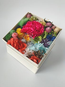 ずこうしつ〜sugamo〜に投稿された画像（2023/2/26）