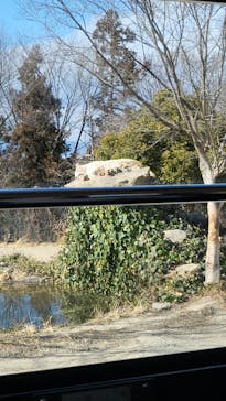 群馬サファリパークに投稿された画像（2023/2/26）