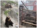 のぼりべつクマ牧場に投稿された画像（2023/2/26）