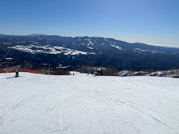 ダイナランドに投稿された画像（2023/2/26）