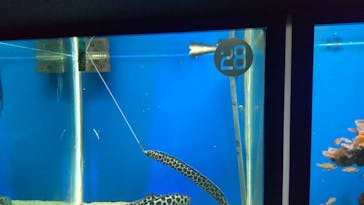 串本海中公園水族館に投稿された画像（2023/2/26）