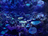 名古屋港水族館に投稿された画像（2023/2/26）