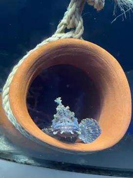 横浜・八景島シーパラダイスに投稿された画像（2023/2/26）