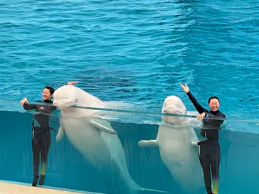 横浜・八景島シーパラダイスに投稿された画像（2023/2/26）