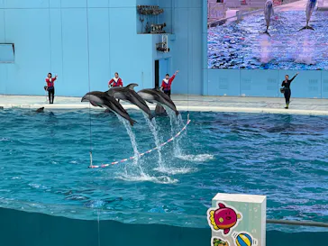 横浜・八景島シーパラダイスに投稿された画像（2023/2/26）