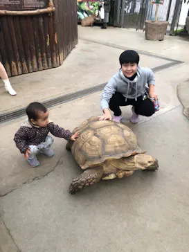 神戸どうぶつ王国に投稿された画像（2023/2/26）