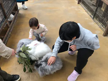 神戸どうぶつ王国に投稿された画像（2023/2/26）