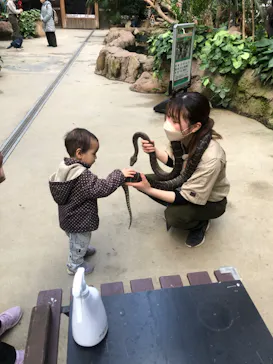 神戸どうぶつ王国に投稿された画像（2023/2/26）