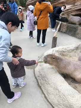 神戸どうぶつ王国に投稿された画像（2023/2/26）