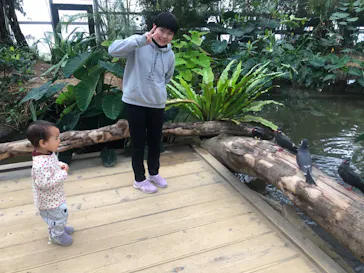 神戸どうぶつ王国に投稿された画像（2023/2/26）