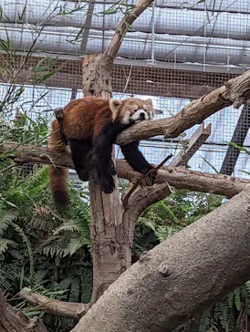 神戸どうぶつ王国に投稿された画像（2023/2/26）