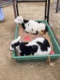 天王寺動物園に投稿された画像（2023/2/26）