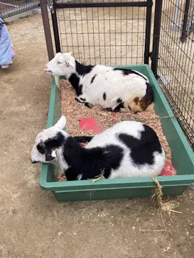 天王寺動物園に投稿された画像（2023/2/26）