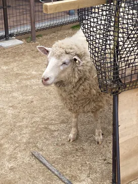 天王寺動物園に投稿された画像（2023/2/26）