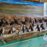 しながわ水族館に投稿された画像（2023/2/26）