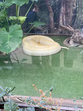 神戸どうぶつ王国に投稿された画像（2023/2/26）