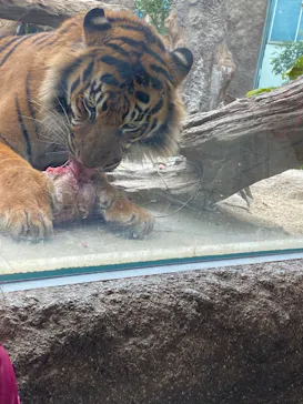 神戸どうぶつ王国に投稿された画像（2023/2/26）