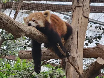 神戸どうぶつ王国に投稿された画像（2023/2/26）