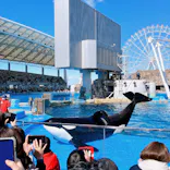 名古屋港水族館に投稿された画像（2023/2/26）