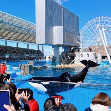 名古屋港水族館に投稿された画像（2023/2/26）