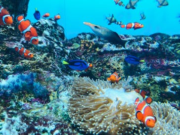 登別マリンパークニクスに投稿された画像（2023/2/26）