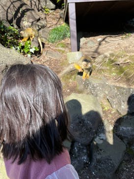 伊豆シャボテン動物公園に投稿された画像（2023/2/26）