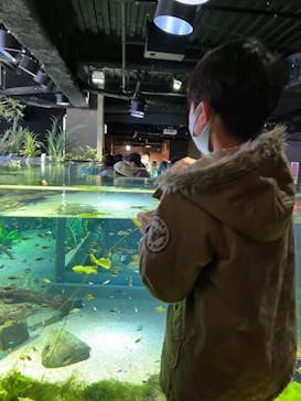 カワスイ 川崎⽔族館に投稿された画像（2023/2/26）