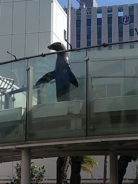 サンシャイン水族館に投稿された画像（2023/2/26）