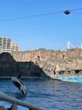 名古屋港水族館に投稿された画像（2023/2/26）