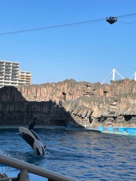 名古屋港水族館に投稿された画像（2023/2/26）