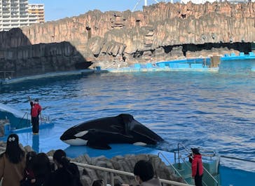 名古屋港水族館に投稿された画像（2023/2/26）