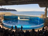 新江ノ島水族館に投稿された画像（2023/2/26）