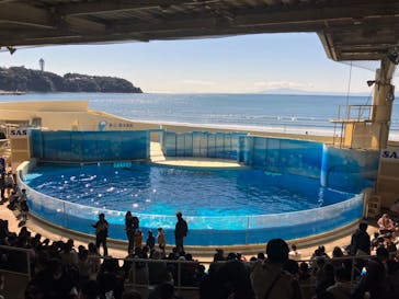 新江ノ島水族館に投稿された画像（2023/2/26）