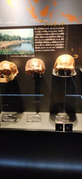 国立科学博物館に投稿された画像（2023/2/26）