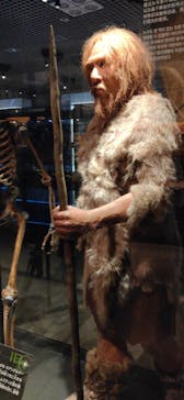 国立科学博物館に投稿された画像（2023/2/26）