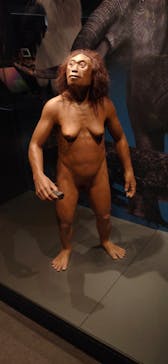 国立科学博物館に投稿された画像（2023/2/26）