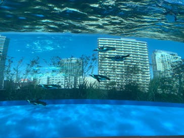 サンシャイン水族館に投稿された画像（2023/2/26）