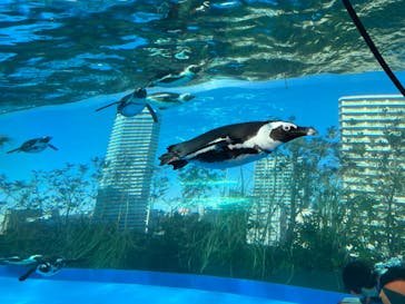 サンシャイン水族館に投稿された画像（2023/2/26）