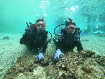 武藤潜水に投稿された画像（2023/2/26）